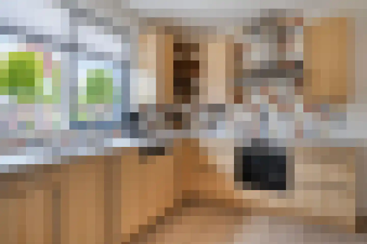 Kastanjelaan 198 Halsteren thumbnail 21
