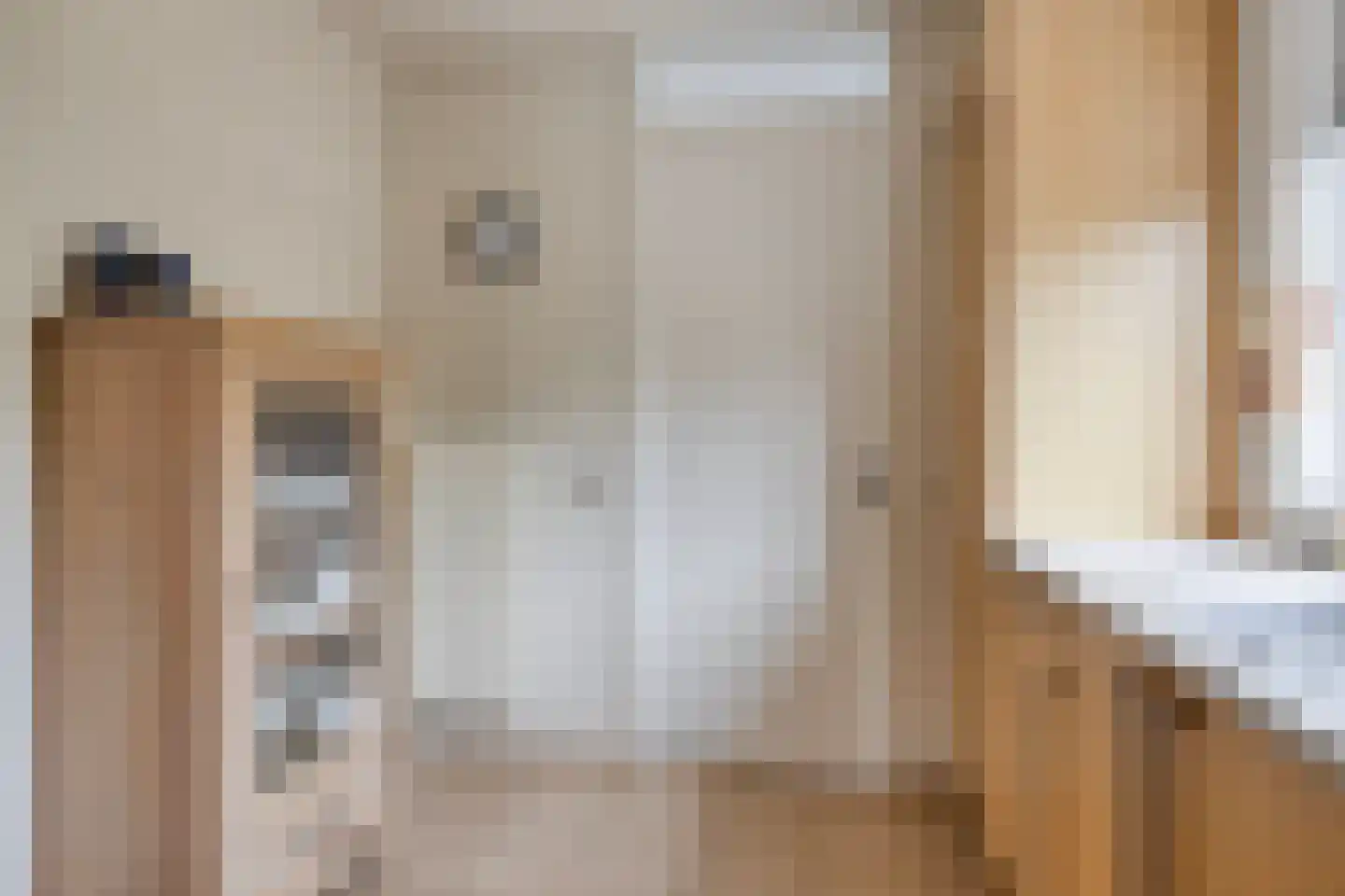 Kastanjelaan 198 Halsteren thumbnail 23
