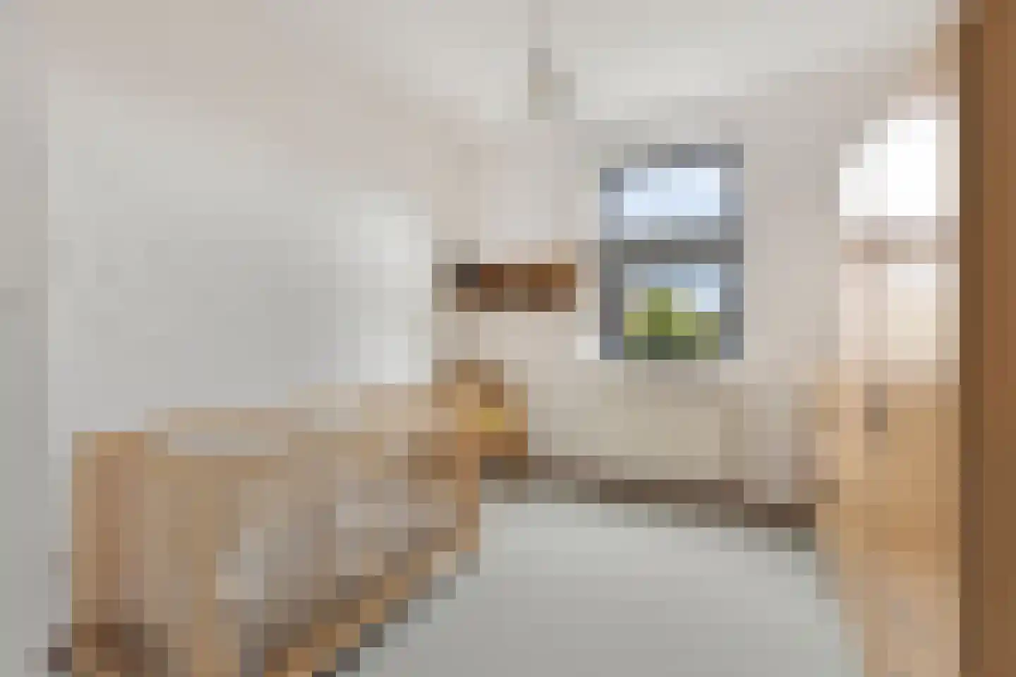 Kastanjelaan 198 Halsteren thumbnail 31