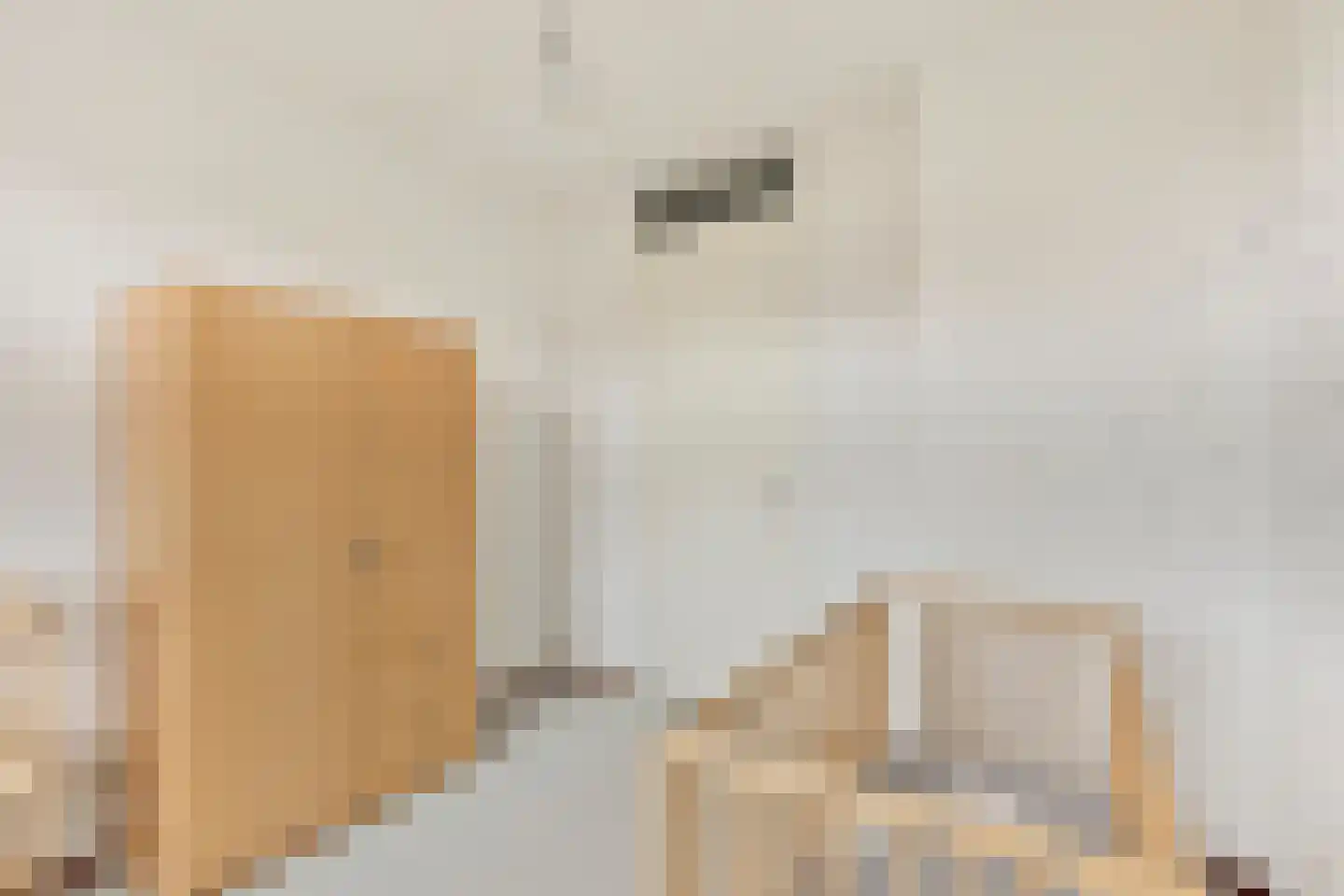Kastanjelaan 198 Halsteren thumbnail 32
