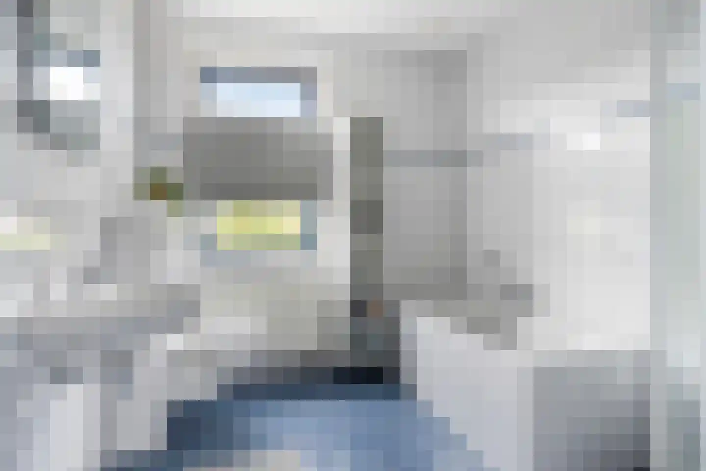 Kastanjelaan 198 Halsteren thumbnail 33