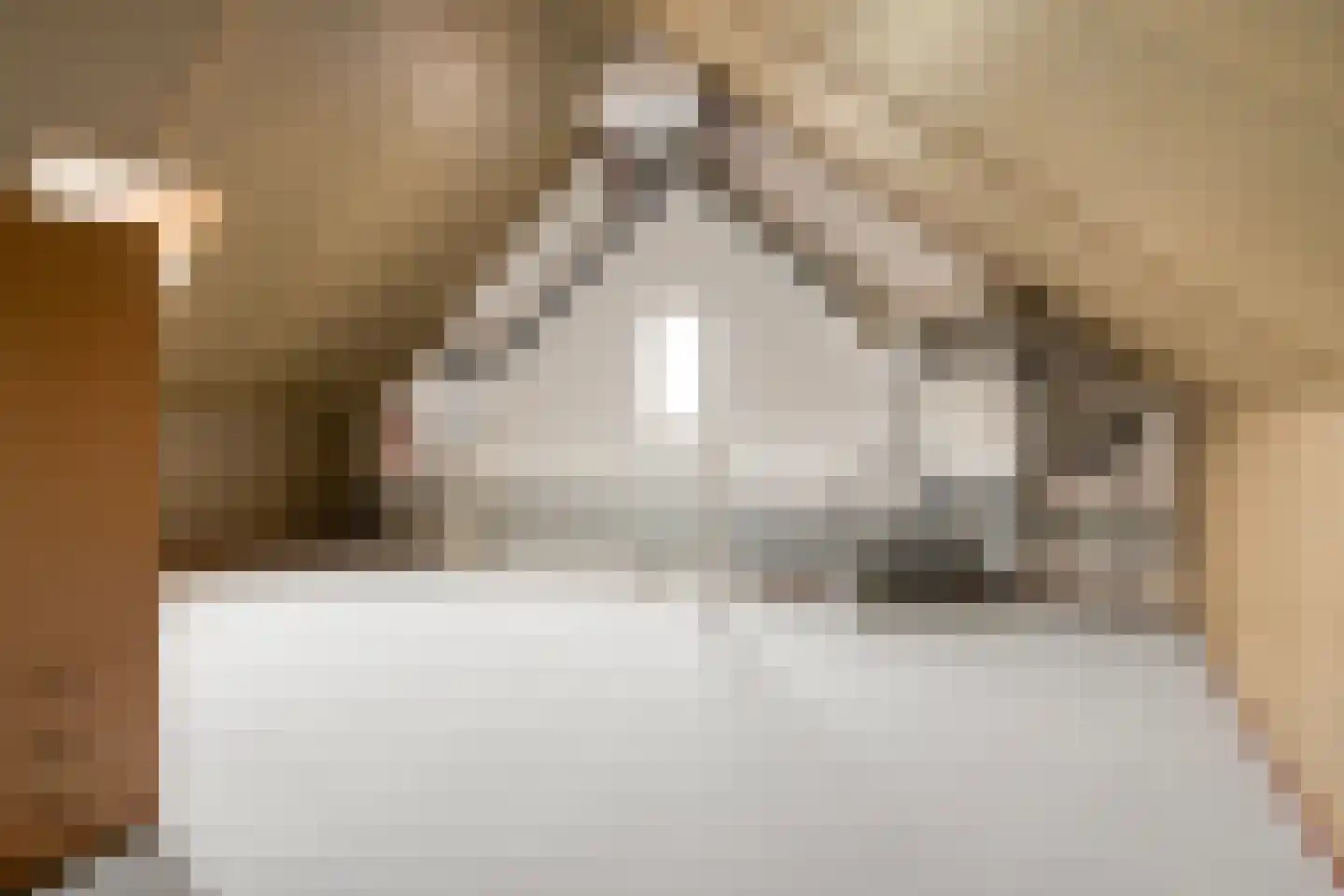 Kastanjelaan 198 Halsteren thumbnail 37