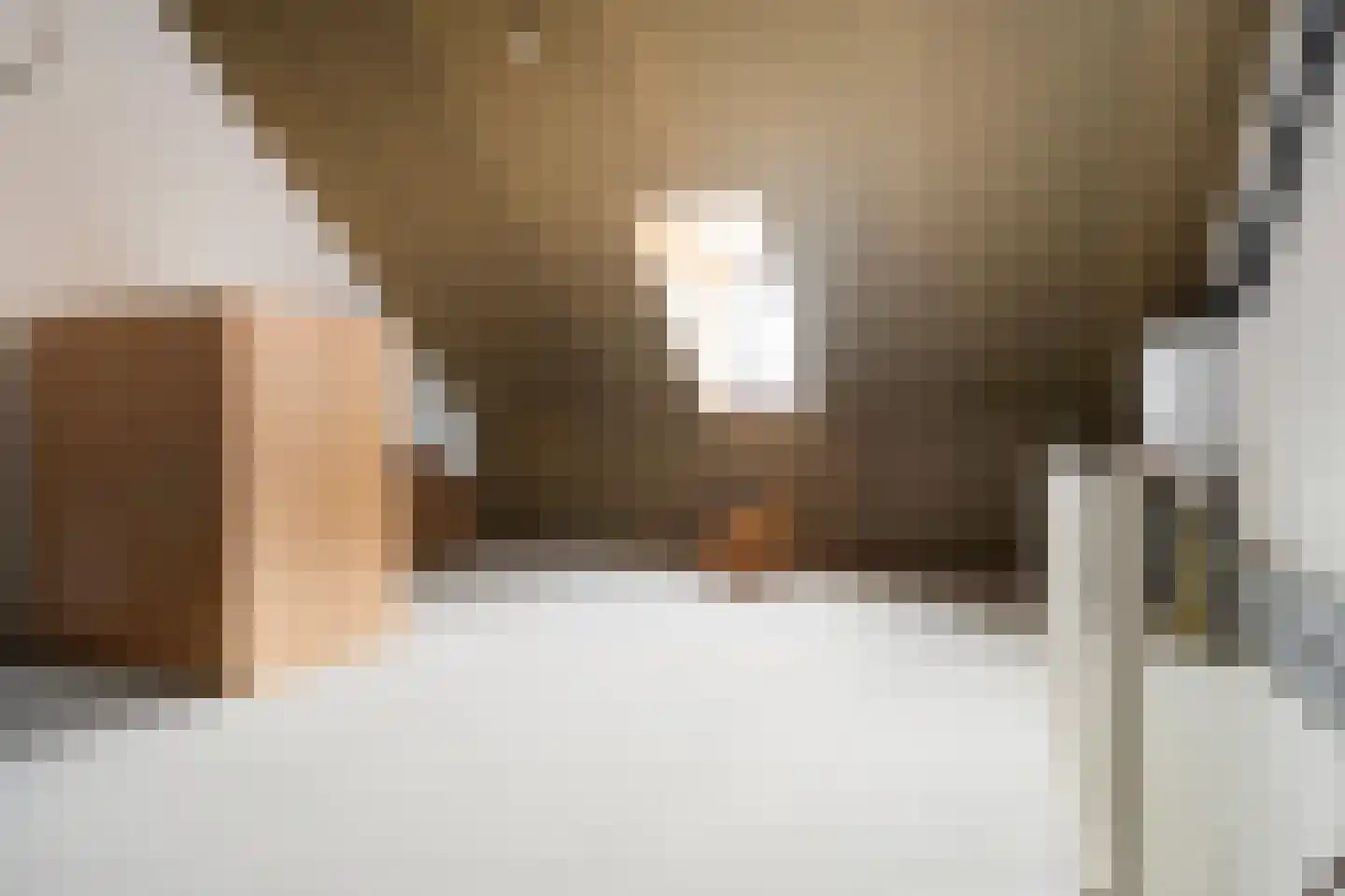 Kastanjelaan 198 Halsteren thumbnail 38