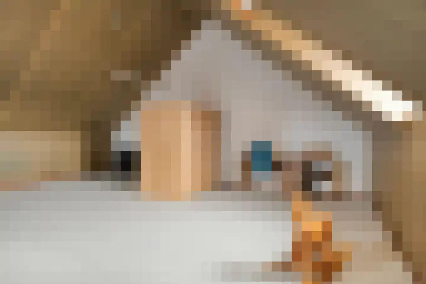 Kastanjelaan 198 Halsteren thumbnail 39