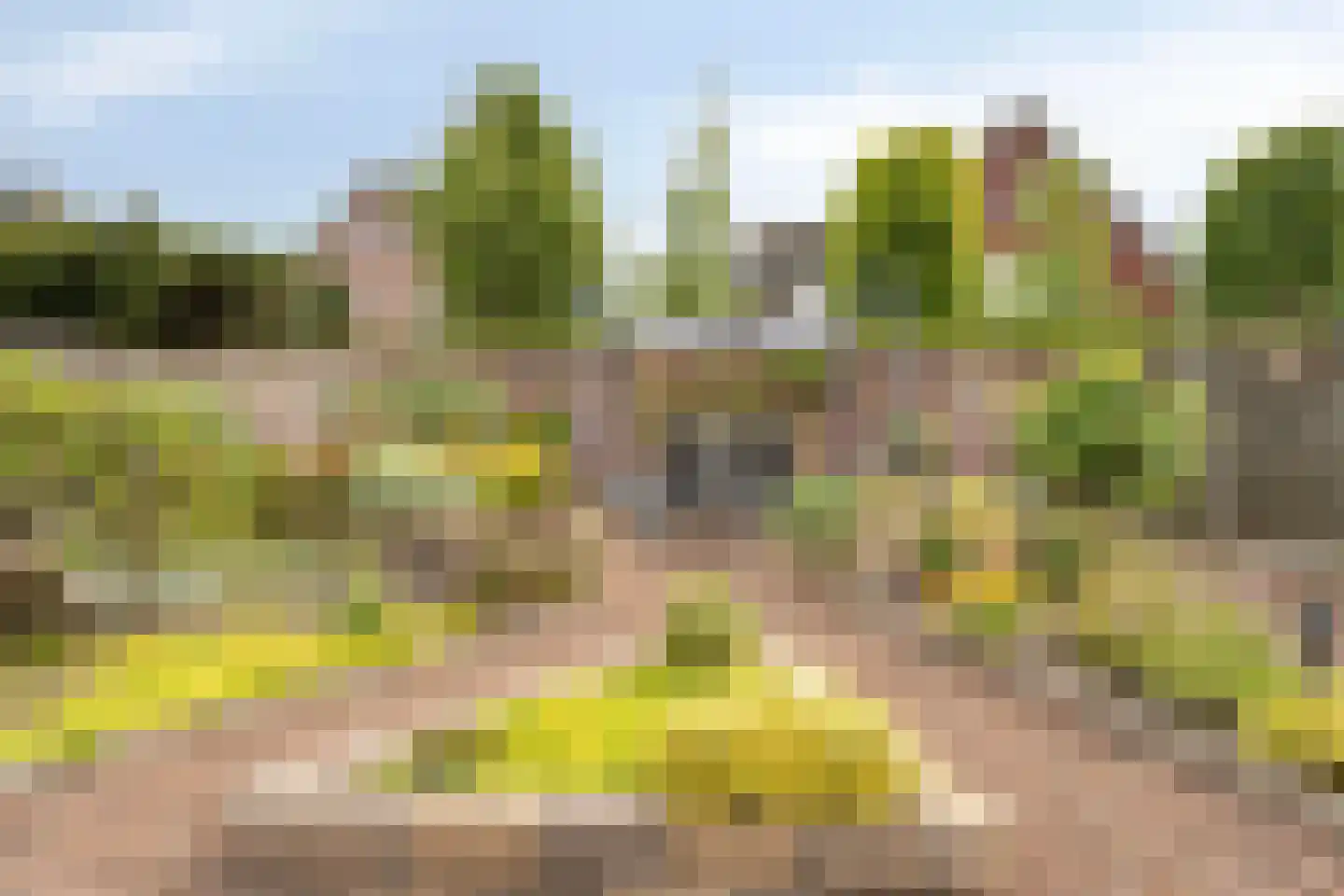 Kastanjelaan 198 Halsteren thumbnail 4