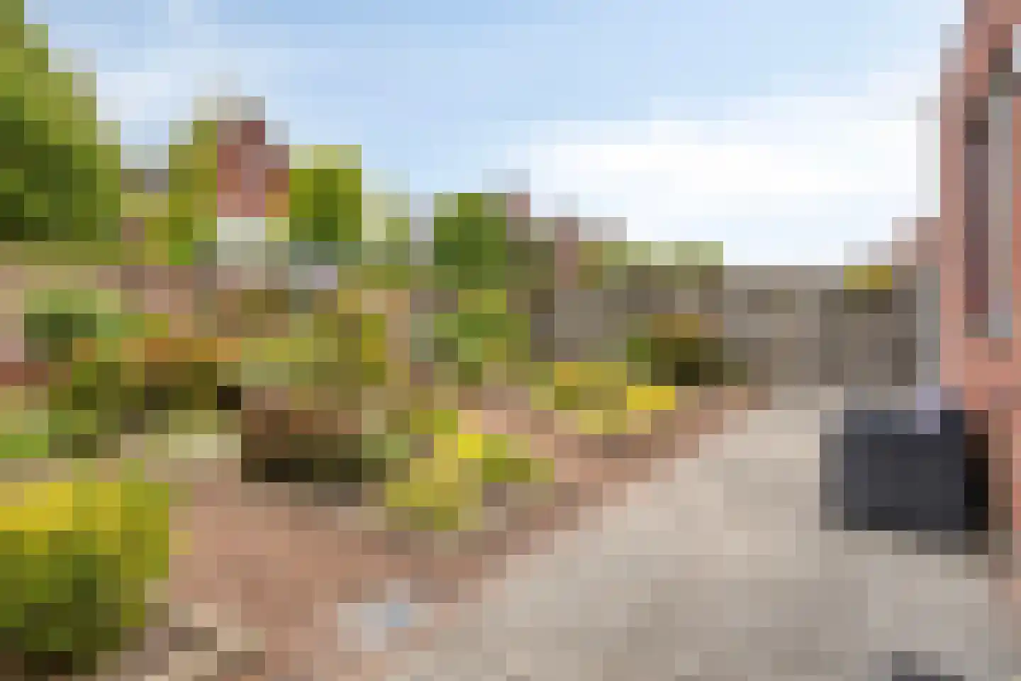 Kastanjelaan 198 Halsteren thumbnail 40