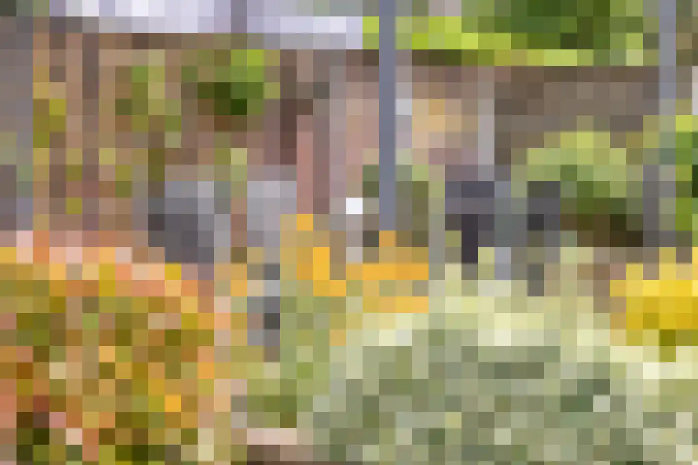 Kastanjelaan 198 Halsteren thumbnail 43