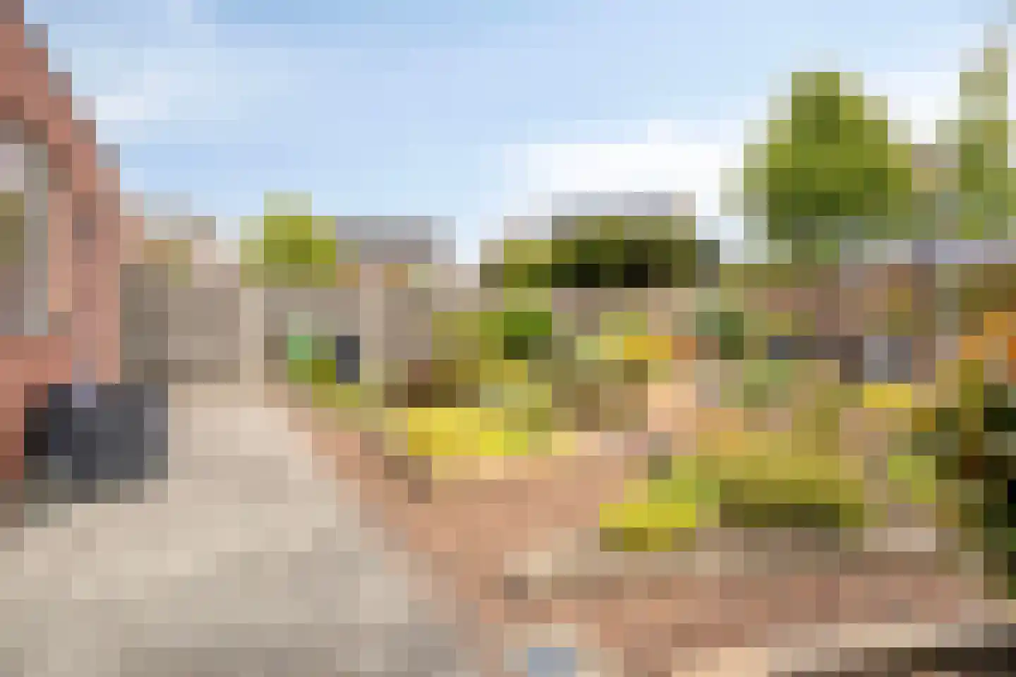 Kastanjelaan 198 Halsteren thumbnail 44