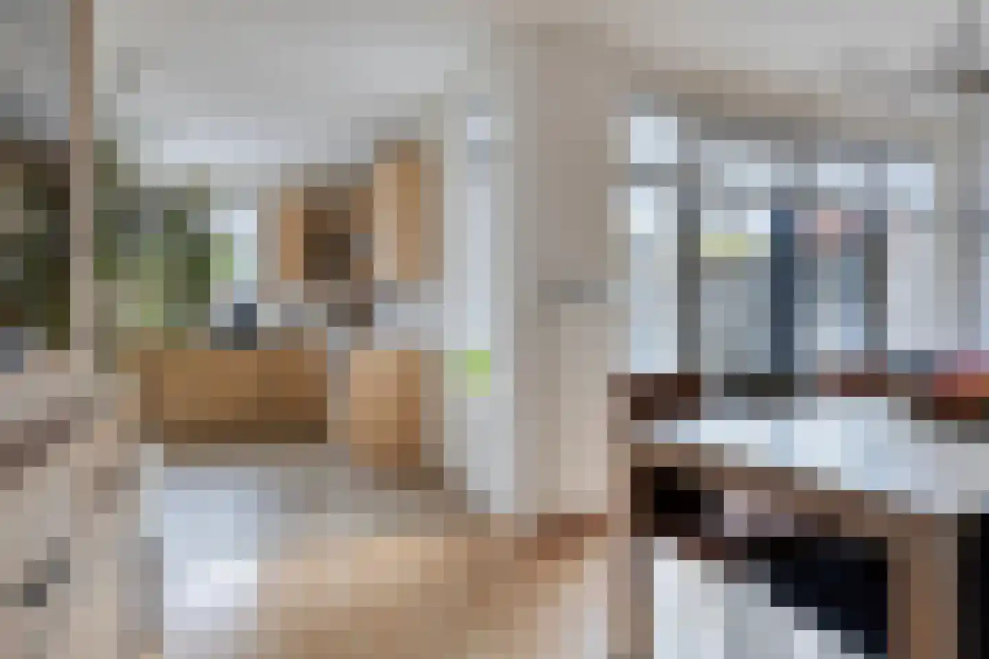 Kastanjelaan 198 Halsteren thumbnail 6