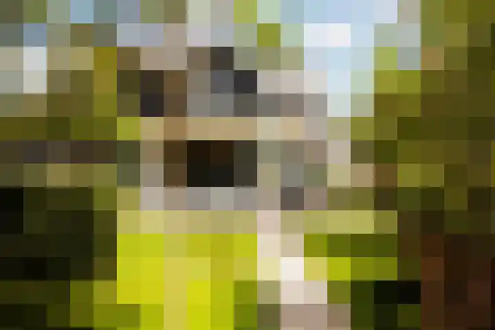 Kastanjelaan 2 a Aalsmeer thumbnail 10