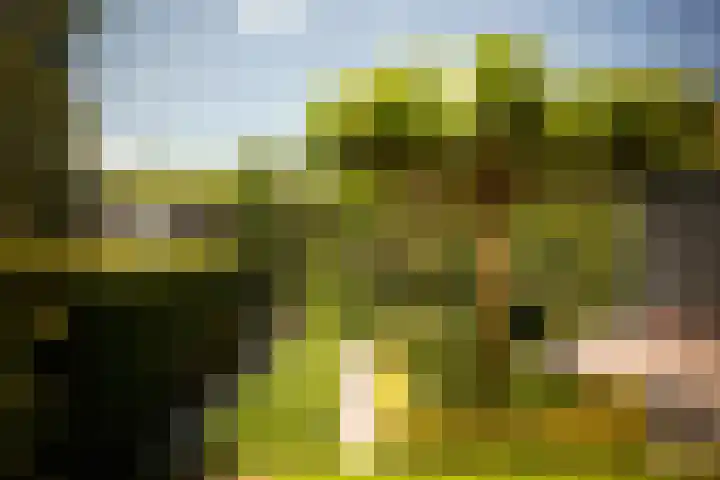 Kastanjelaan 2 a Aalsmeer thumbnail 11