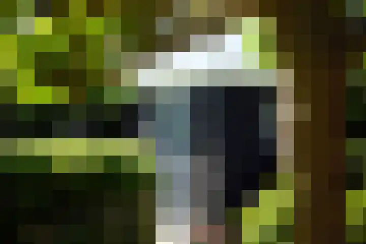 Kastanjelaan 2 a Aalsmeer thumbnail 12