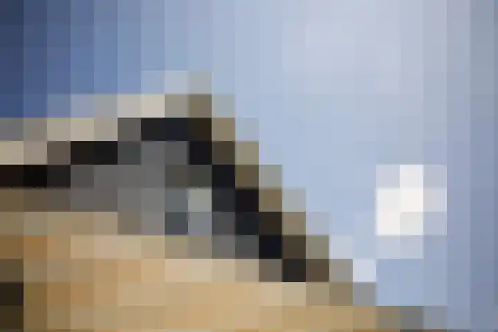 Kastanjelaan 2 a Aalsmeer thumbnail 13