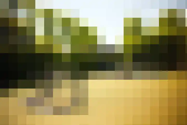 Kastanjelaan 2 a Aalsmeer thumbnail 14