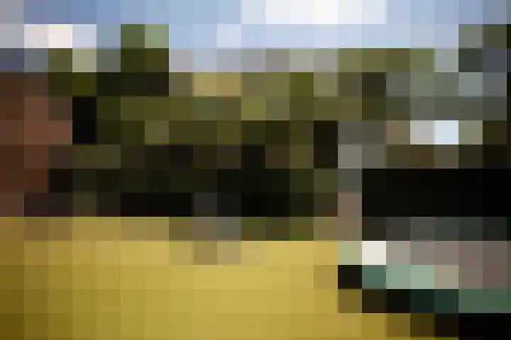 Kastanjelaan 2 a Aalsmeer thumbnail 15