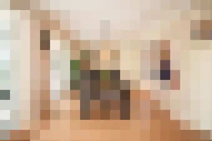 Kastanjelaan 2 a Aalsmeer thumbnail 17