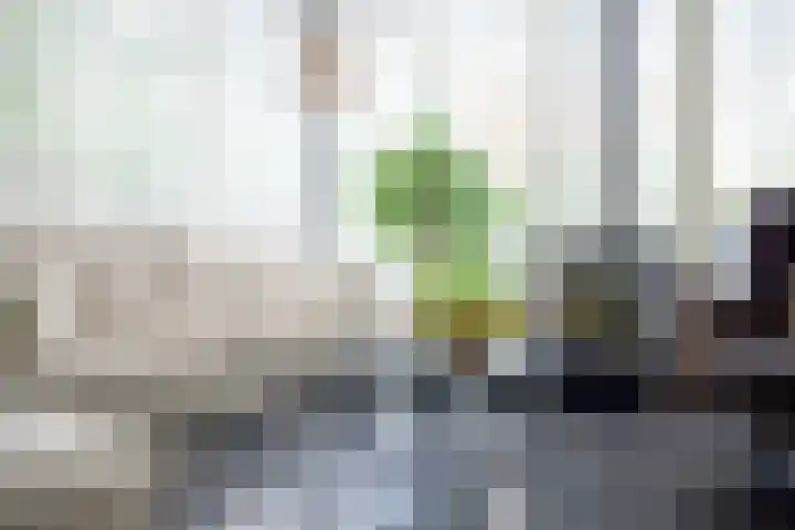 Kastanjelaan 2 a Aalsmeer thumbnail 20