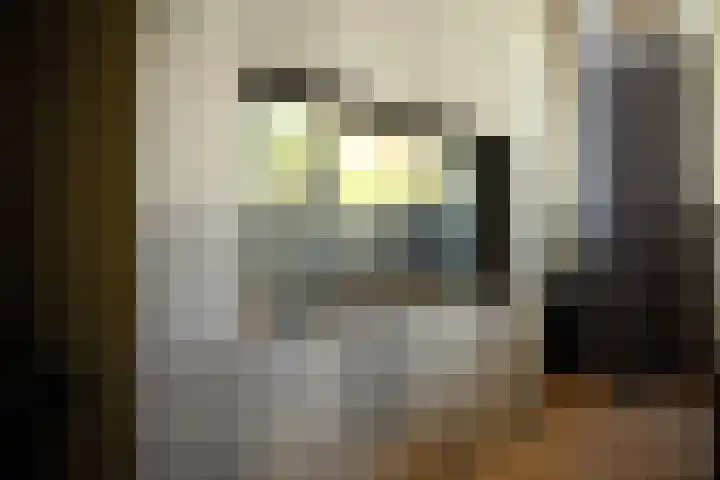 Kastanjelaan 2 a Aalsmeer thumbnail 23