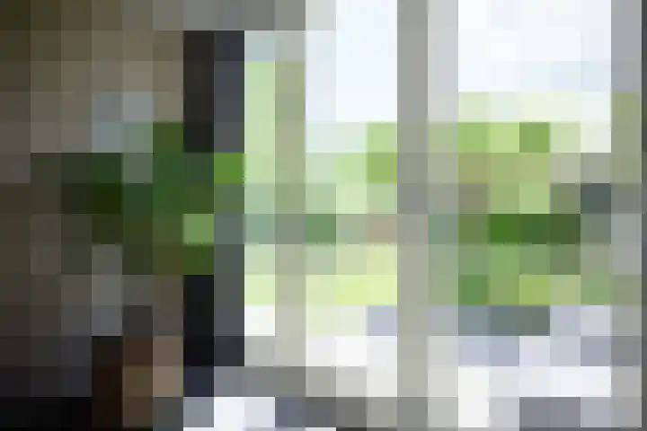 Kastanjelaan 2 a Aalsmeer thumbnail 29