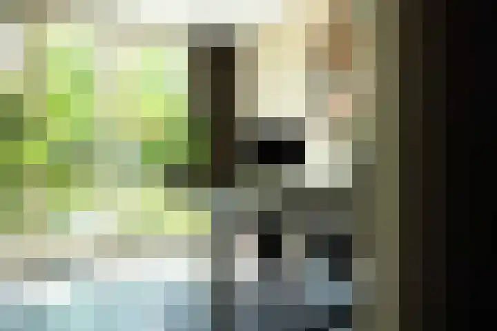 Kastanjelaan 2 a Aalsmeer thumbnail 30