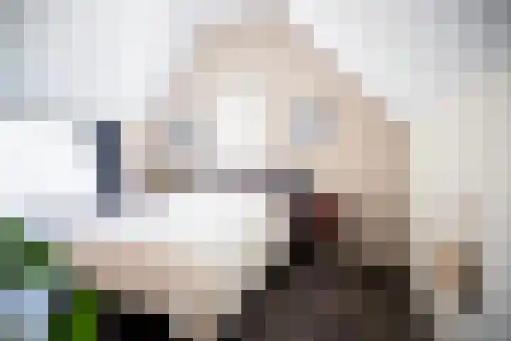 Kastanjelaan 2 a Aalsmeer thumbnail 37