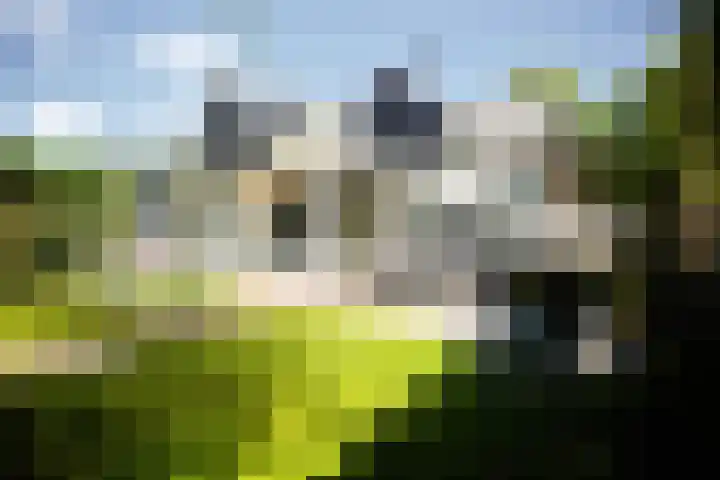 Kastanjelaan 2 a Aalsmeer thumbnail 4