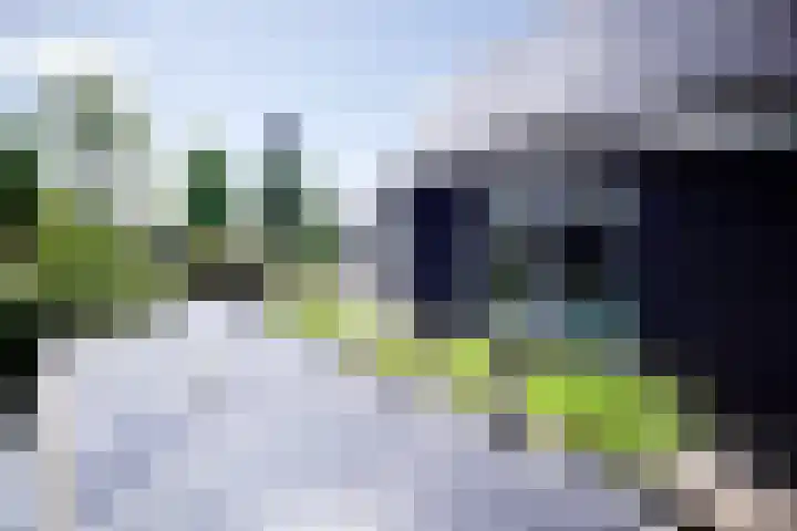 Kastanjelaan 2 a Aalsmeer thumbnail 42