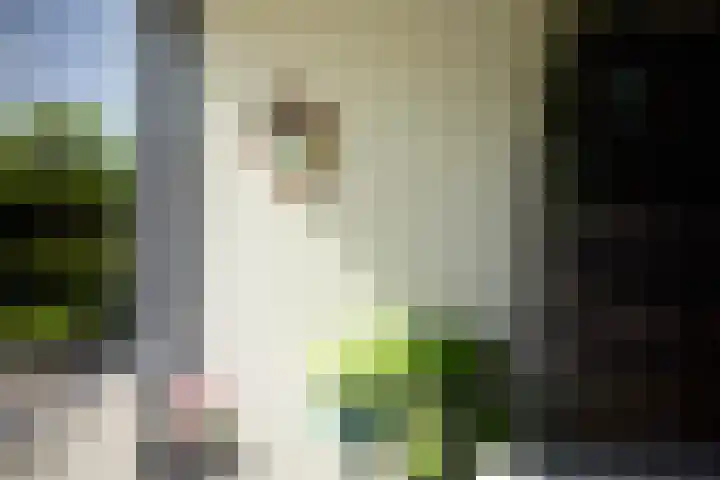 Kastanjelaan 2 a Aalsmeer thumbnail 44