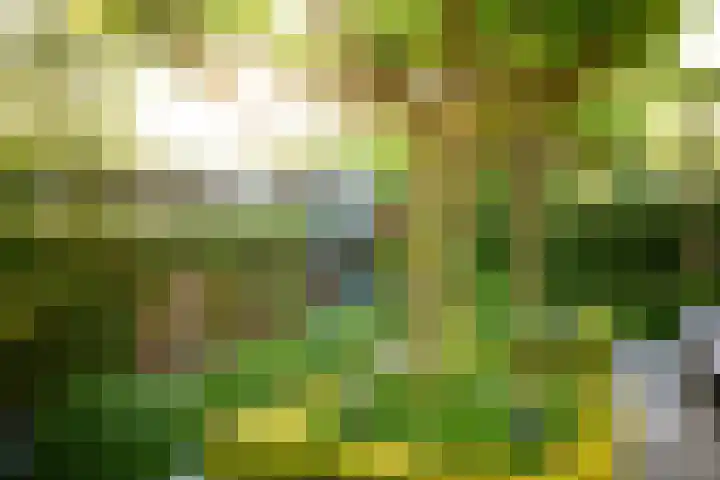 Kastanjelaan 2 a Aalsmeer thumbnail 46
