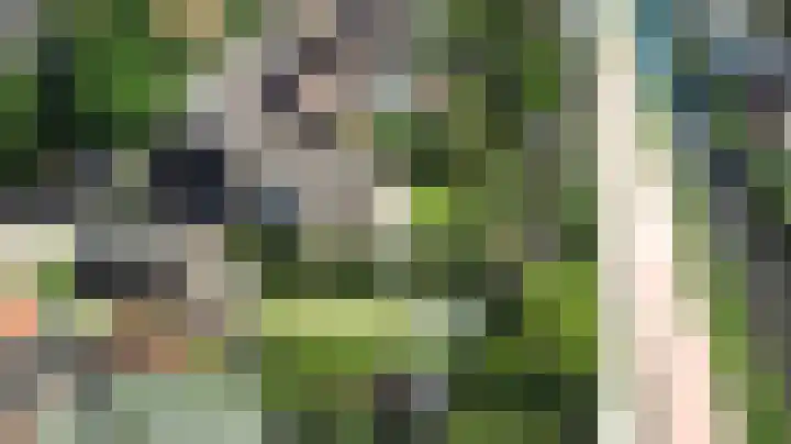 Kastanjelaan 2 a Aalsmeer thumbnail 49