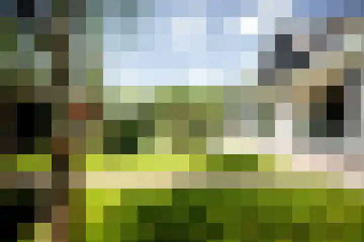 Kastanjelaan 2 a Aalsmeer thumbnail 5