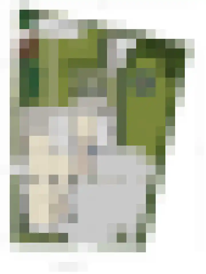 Kastanjelaan 2 a Aalsmeer thumbnail 54