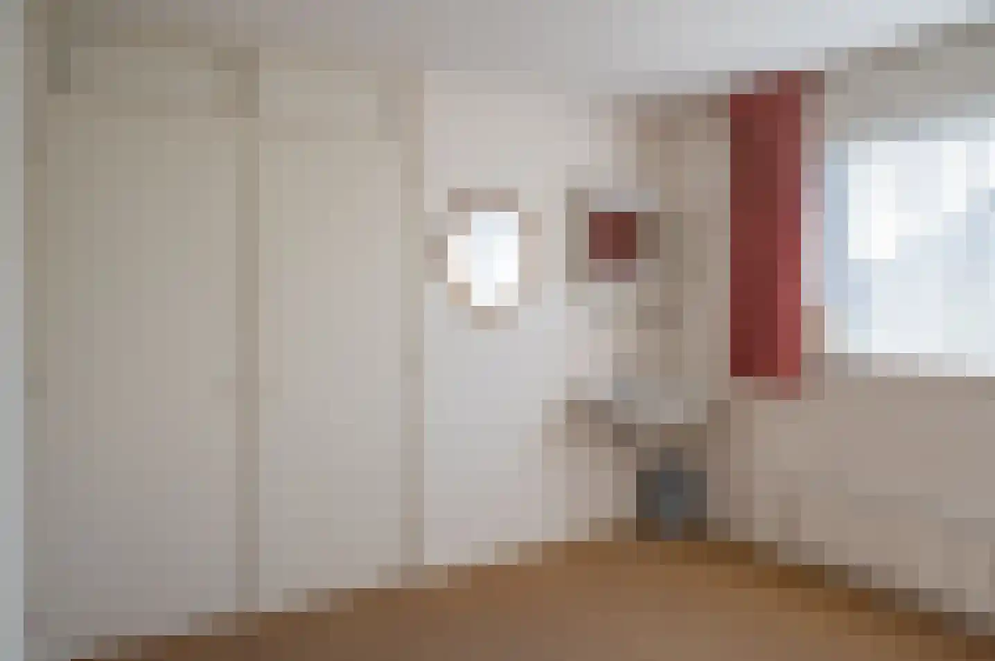 Kastanjelaan 2 A Hengelo (Gld) thumbnail 29