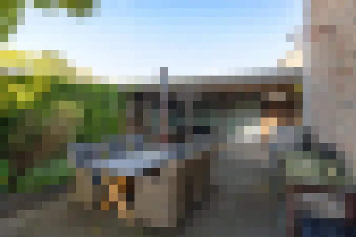 Kastanjelaan 2 A Zuidlaren thumbnail 14