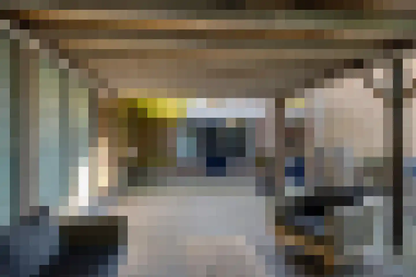 Kastanjelaan 2 A Zuidlaren thumbnail 15