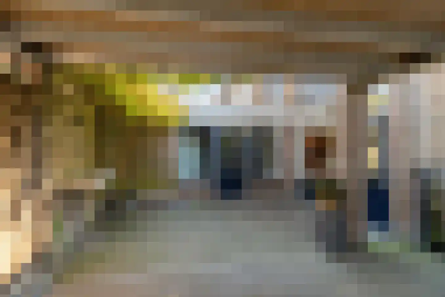 Kastanjelaan 2 A Zuidlaren thumbnail 16