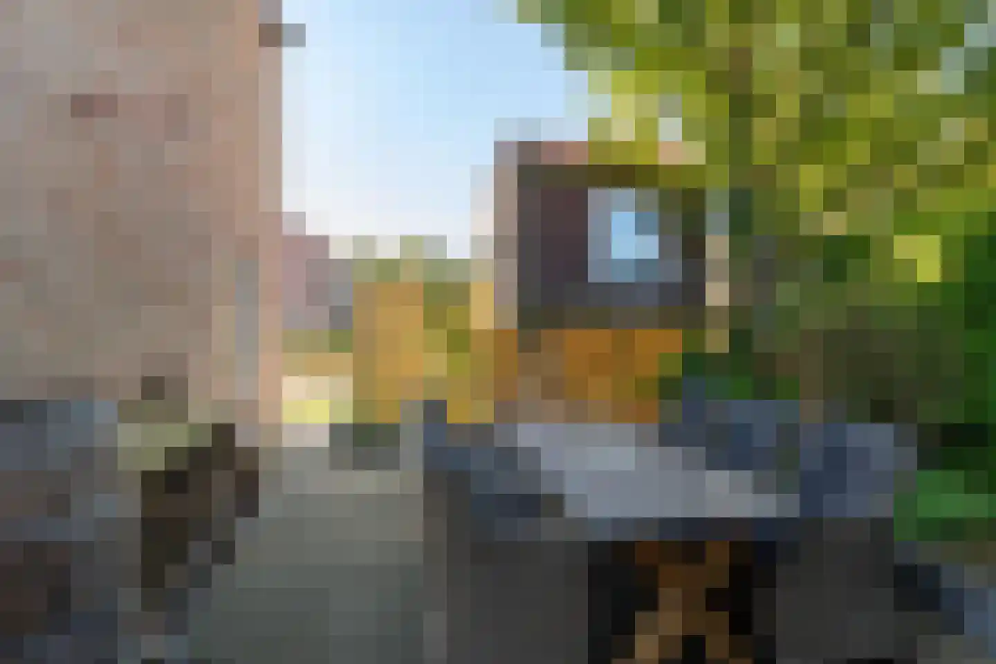 Kastanjelaan 2 A Zuidlaren thumbnail 17