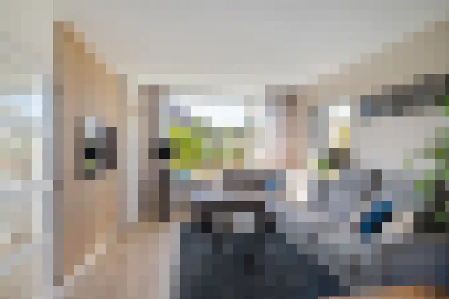 Kastanjelaan 2 A Zuidlaren thumbnail 23