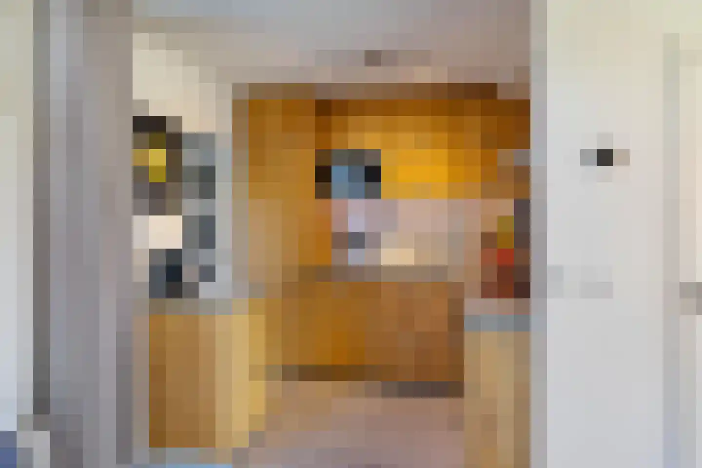 Kastanjelaan 2 A Zuidlaren thumbnail 30