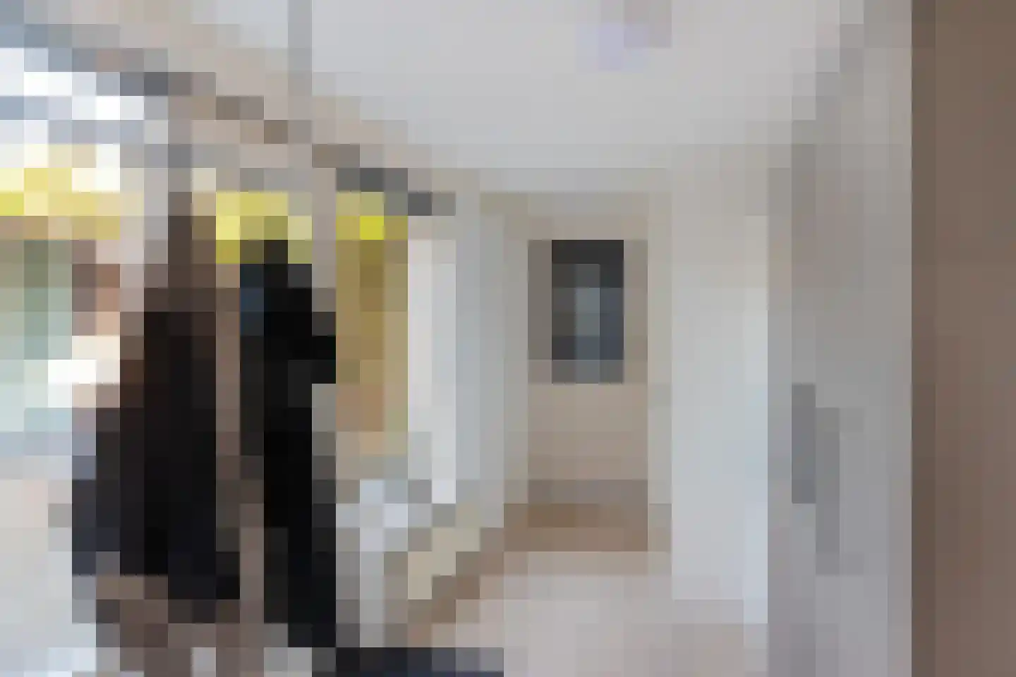 Kastanjelaan 2 A Zuidlaren thumbnail 31