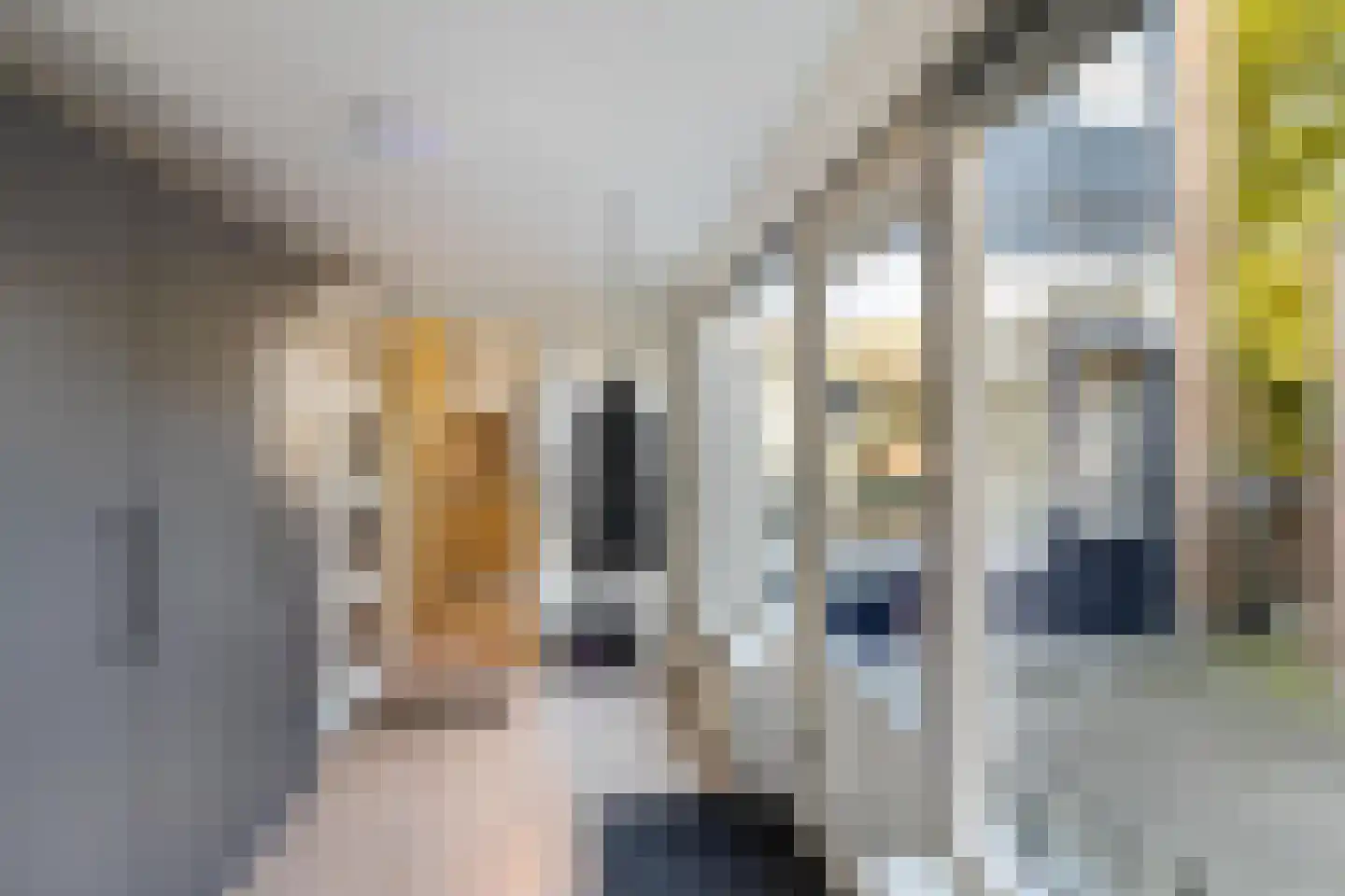 Kastanjelaan 2 A Zuidlaren thumbnail 32