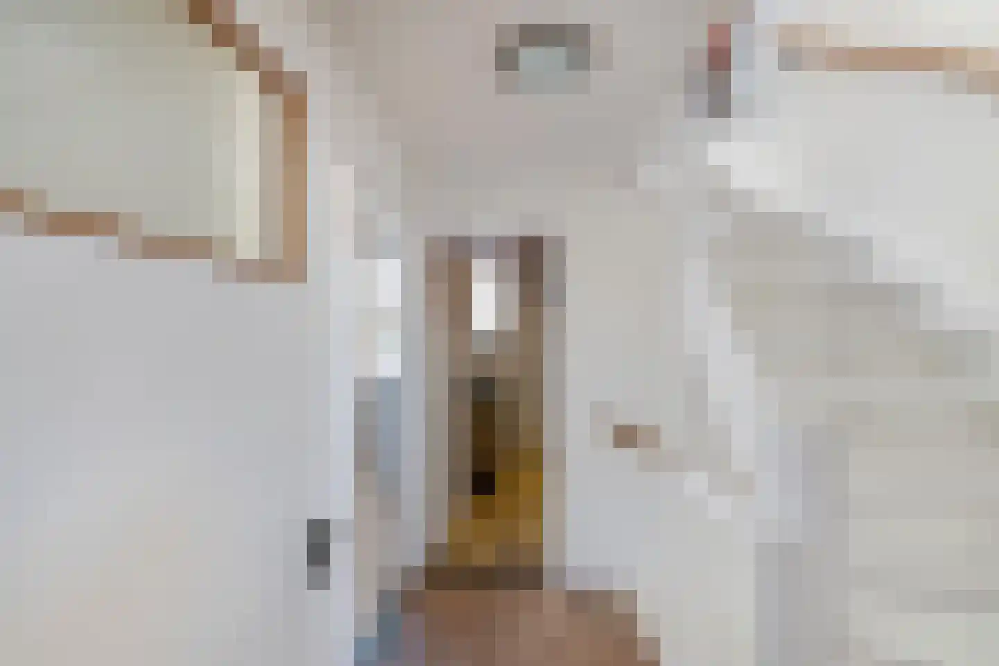 Kastanjelaan 2 A Zuidlaren thumbnail 34
