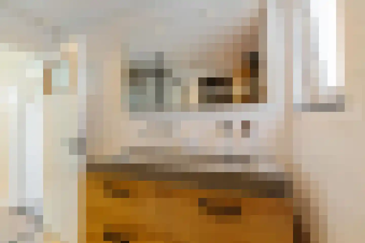 Kastanjelaan 2 A Zuidlaren thumbnail 36