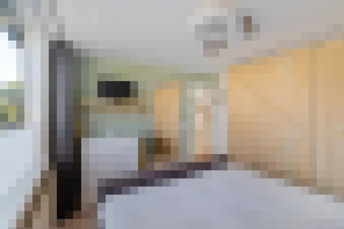 Kastanjelaan 2 A Zuidlaren thumbnail 45