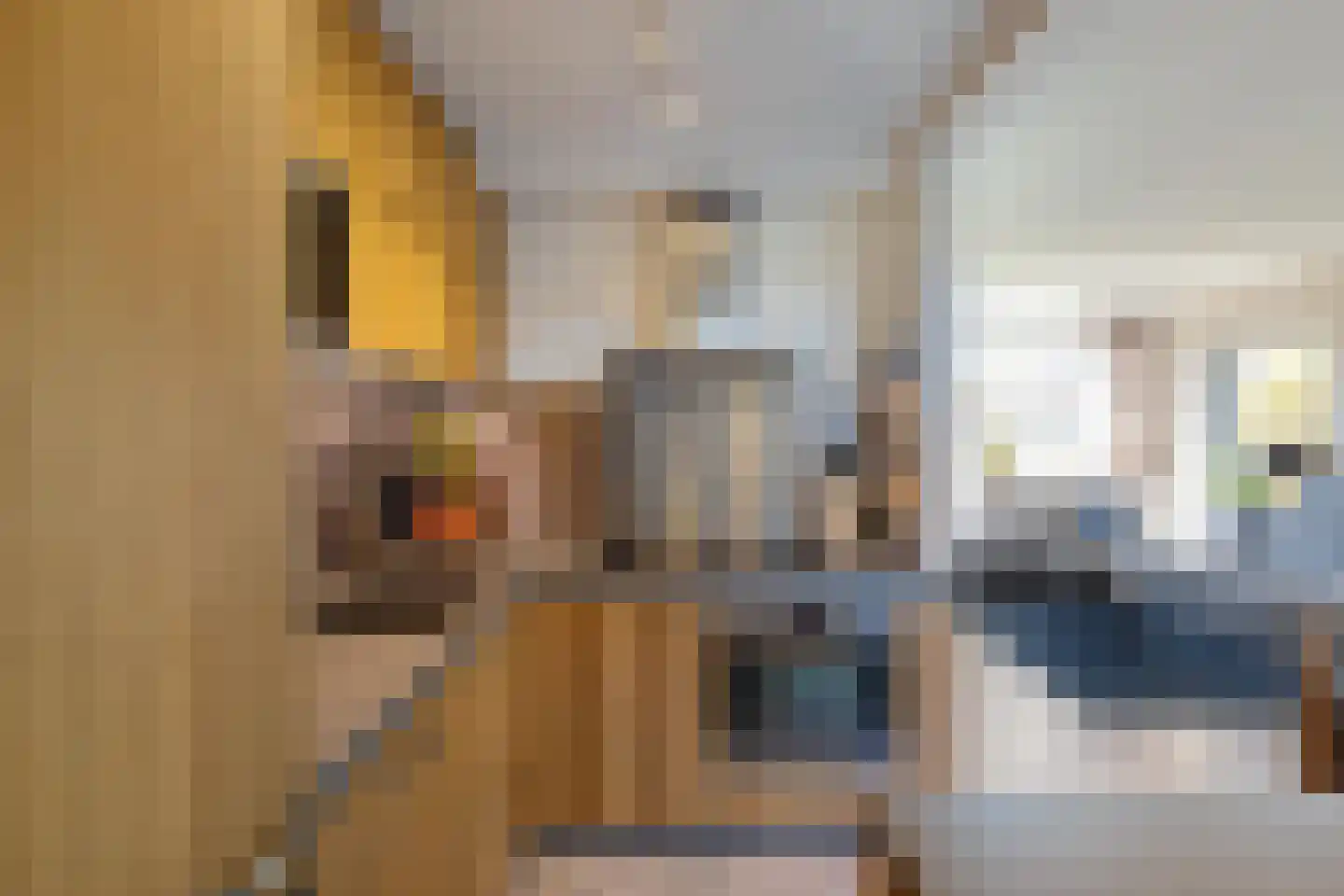 Kastanjelaan 2 A Zuidlaren thumbnail 5