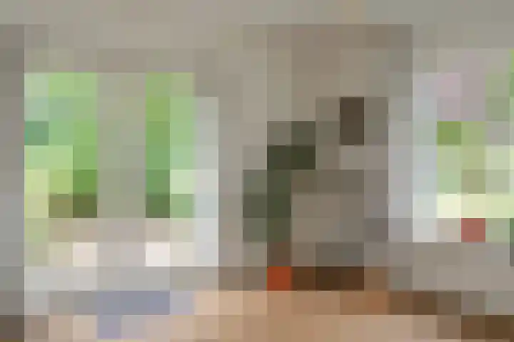Kastanjelaan 2 Aadorp thumbnail 10