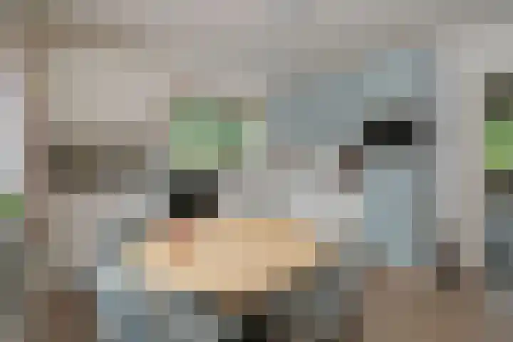 Kastanjelaan 2 Aadorp thumbnail 14
