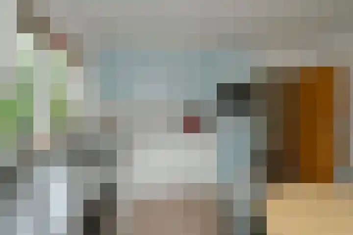 Kastanjelaan 2 Aadorp thumbnail 15