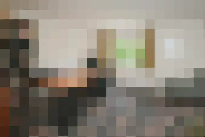 Kastanjelaan 2 Aadorp thumbnail 17
