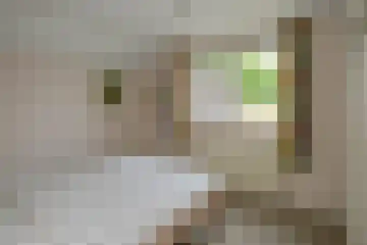 Kastanjelaan 2 Aadorp thumbnail 24